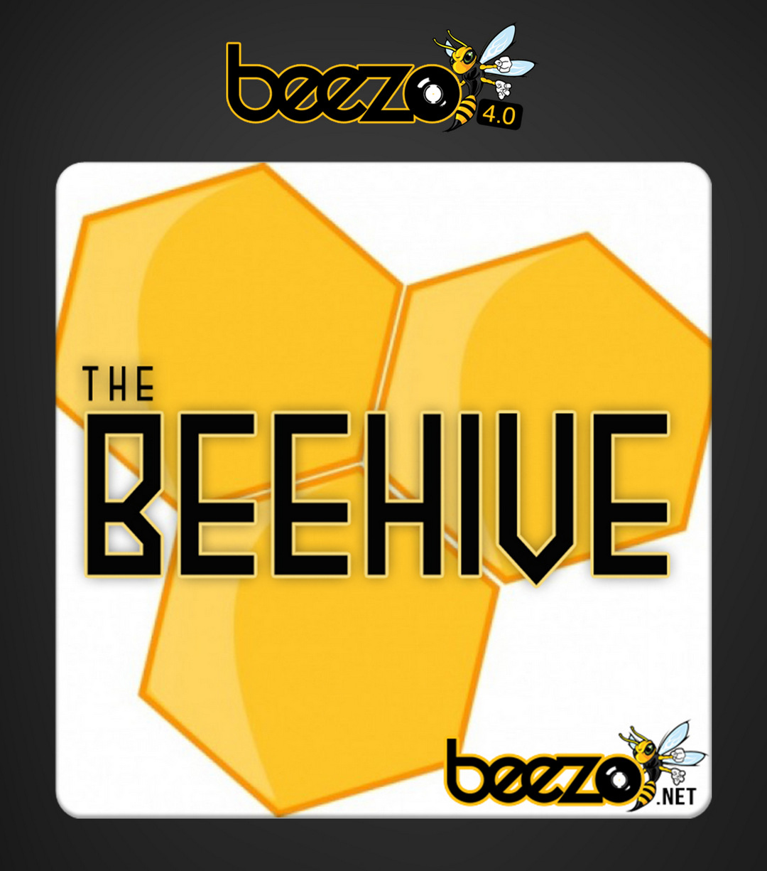 [2020.4.11] Beezo BeeHive 1G