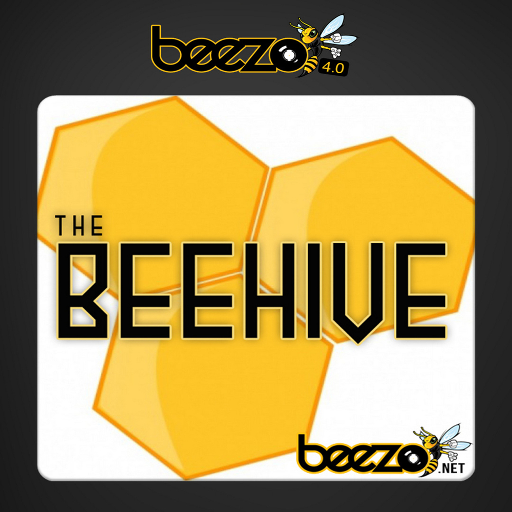 [2020.11.28]  Beezo BeeHive 1.6G